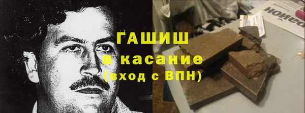 мдпв Осташков