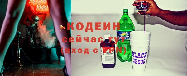 мдпв Осташков