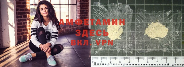 сатива Переславль-Залесский