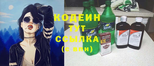 мдпв Осташков