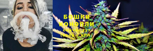 мдпв Осташков