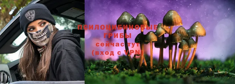 Галлюциногенные грибы Psilocybe  KRAKEN маркетплейс  Сосновка 